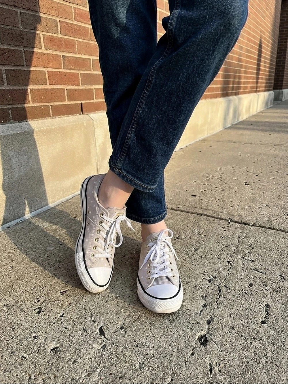 Converse Chuck Taylor All Star Low Polka Dot Gray & White Sneakers